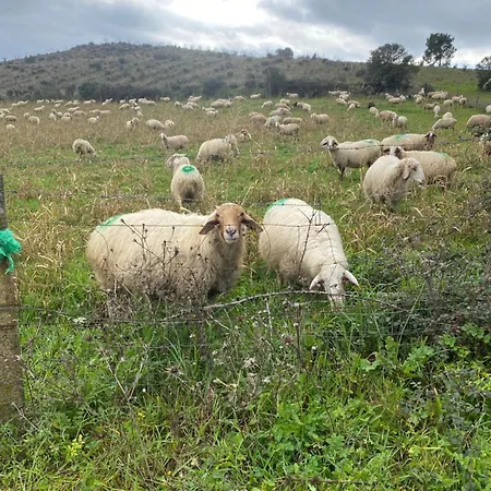 Colmeal Countryside 4*