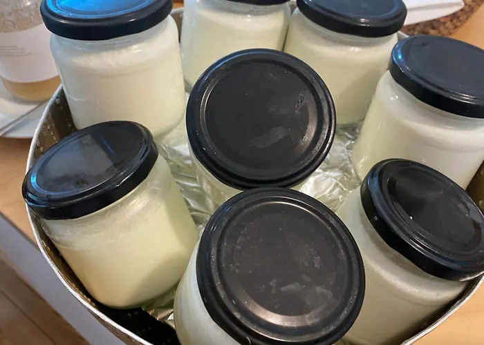 Colmeal Countryside Фигейра-ди-Каштелу-Родригу